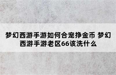 梦幻西游手游如何合宠挣金币 梦幻西游手游老区66该洗什么